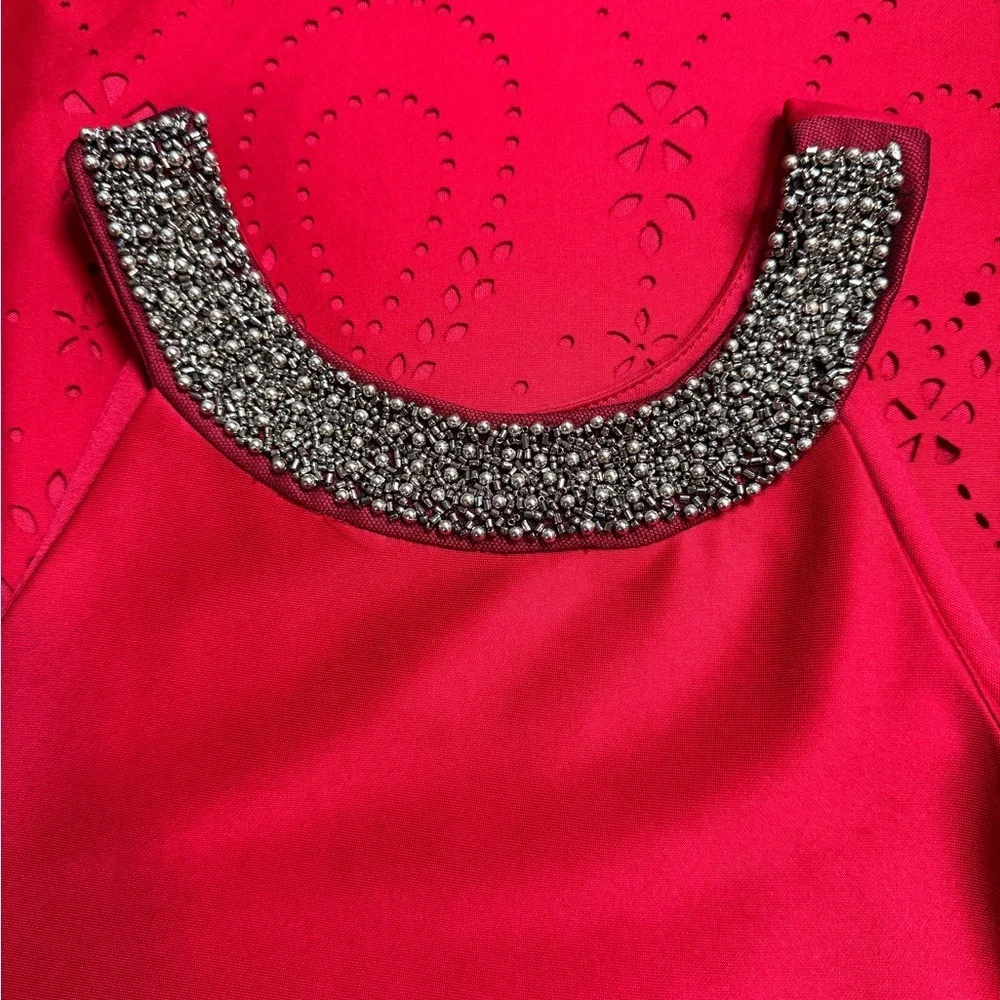 Xtraordinary Scarlet Dress with Glittering Silver Trim
